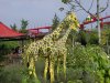 Legoland Günzburg - Giraffen