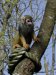München - Zoo Hellabrunn