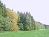 Umgebung von Welden